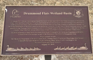 Drummond Flats Wildlife Management Area